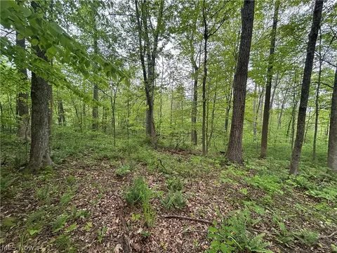 Wesley Chapel, Mount Perry, OH 43760 photo 6