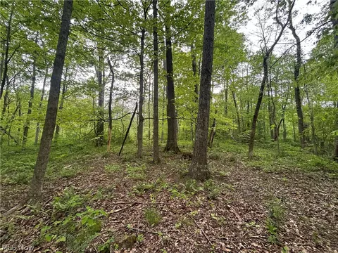 Wesley Chapel, Mount Perry, OH 43760 photo 14