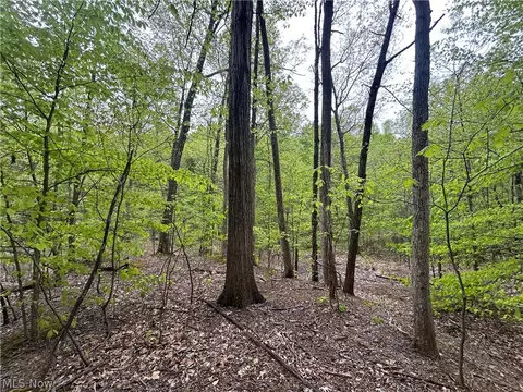 Wesley Chapel, Mount Perry, OH 43760 photo 4