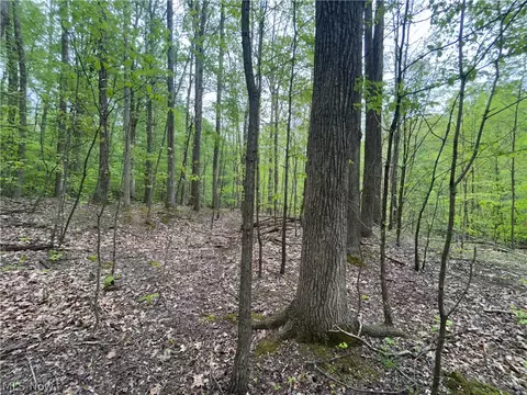 Wesley Chapel, Mount Perry, OH 43760 photo 11
