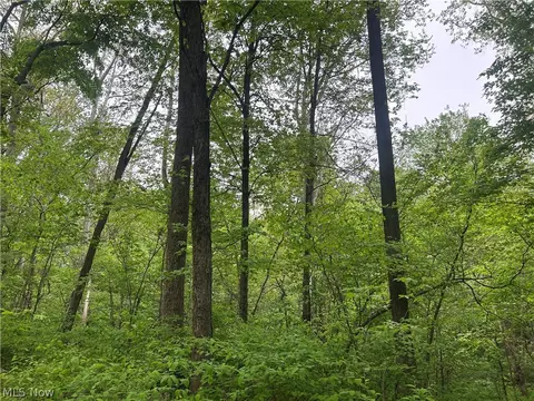 Wesley Chapel, Mount Perry, OH 43760 photo 2
