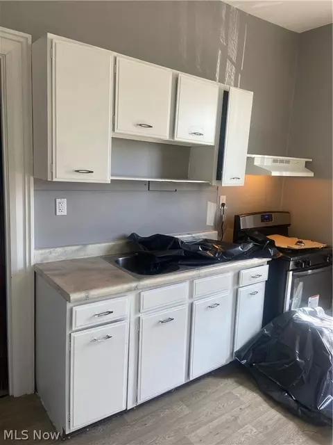 428 West Ave, Elyria, OH 44035 photo 37