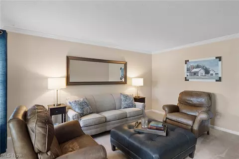 Living - 546 Brookstone Ct, Copley, OH 44321 photo 1 of 2