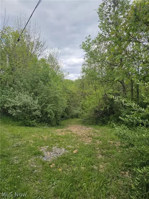 8280 Township Road 263, Bergholz, OH 43908