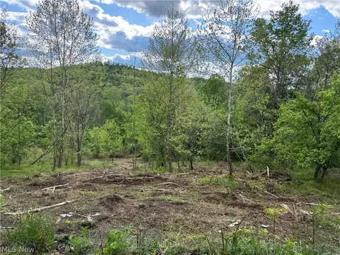 208 Easy St, Freeport, OH 43973