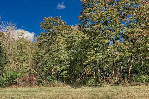 V/l Schady Road, Olmsted Twp, OH 44138