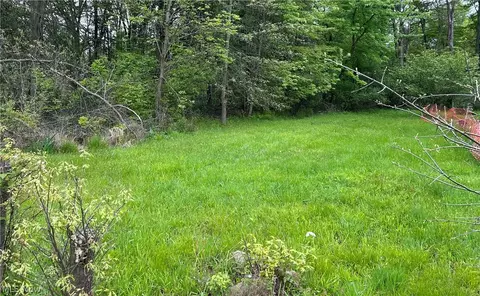 Ridley Avenue, Youngstown, OH 44505
