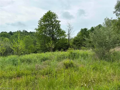 Burning Springs District- Tract No #17416, Elizabeth, WV 26143