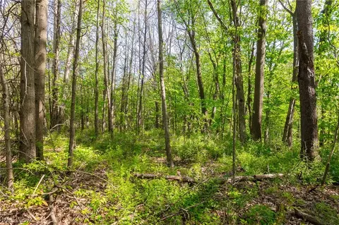 11154 Shetler Ave SW #3, Bolivar, OH 44612