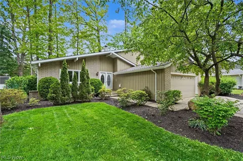 6536 Duneden Ave, Solon, OH 44139