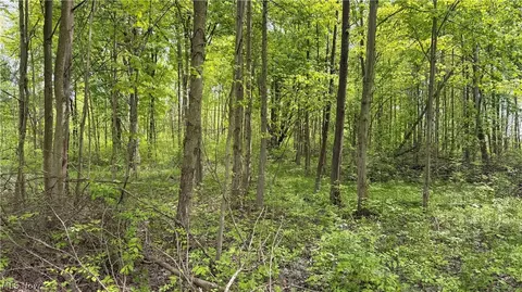 Youngstown Kingsville Road, Warren, OH 44473