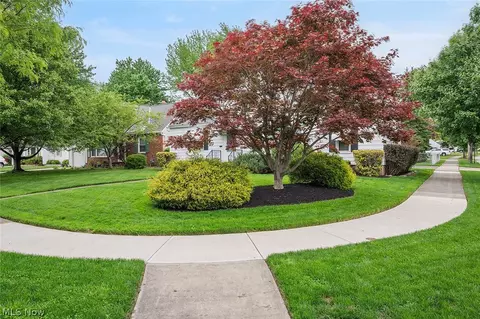 977 Learidge Rd, Lyndhurst, OH 44124 photo 39