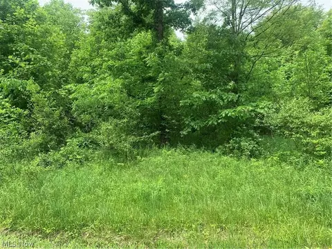 Pinney Topper Road, Ashtabula, OH 44004