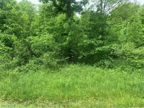 Pinney Topper Road, Ashtabula, OH 44004