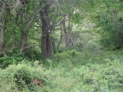 Daniels Avenue, Conneaut, OH 44030