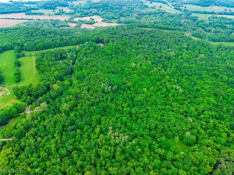 Miller Hill Road, Sherrodsville, OH 44678