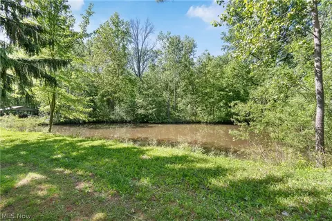 View/Area - 15494 Wheeler Rd, Lagrange, OH 44050 photo 2 of 3