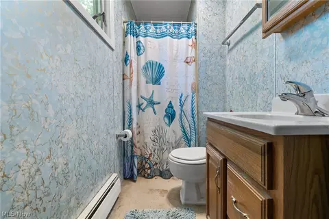 Bath - 15494 Wheeler Rd, Lagrange, OH 44050 photo 1 of 2