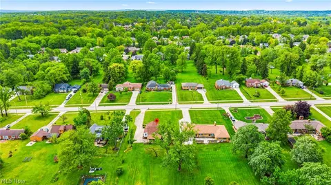 View/Area - 725 Chestnut Rd, Seven Hills, OH 44131 photo 4 of 4