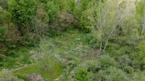 6060 Dalton Fox Lake Rd, North Lawrence, OH 44666