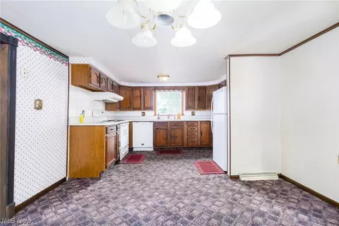 Other - 105 Crabapple Ln, Hammondsville, OH 43930 photo 6 of 11