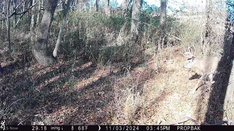 Tr 88, Coshocton, OH 43824 photo 36