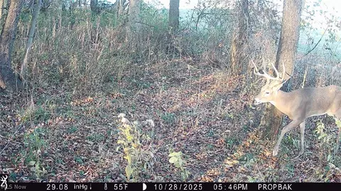 Tr 88, Coshocton, OH 43824 photo 30