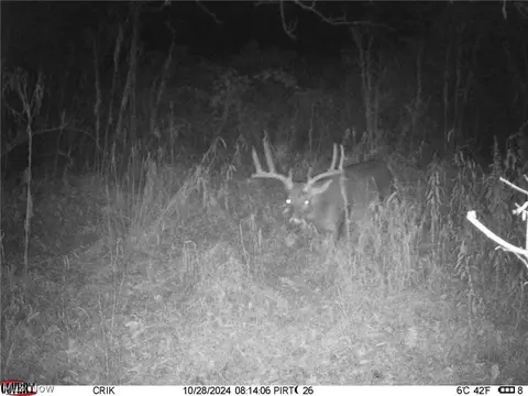 Tr 88, Coshocton, OH 43824 photo 34