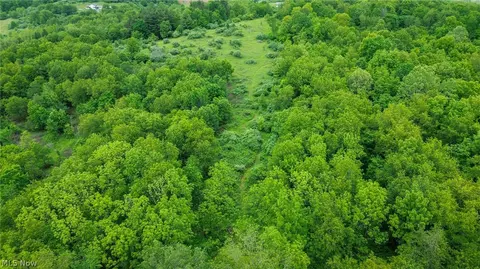 Tr 88, Coshocton, OH 43824 photo 14