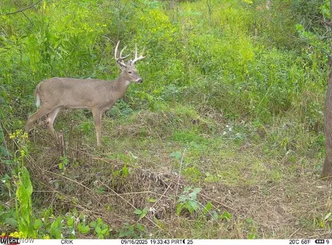 Tr 88, Coshocton, OH 43824 photo 31