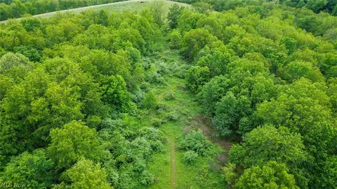 Tr 88, Coshocton, OH 43824 photo 24
