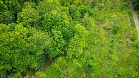 Tr 88, Coshocton, OH 43824 photo 9