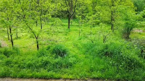 Tr 88, Coshocton, OH 43824 photo 5