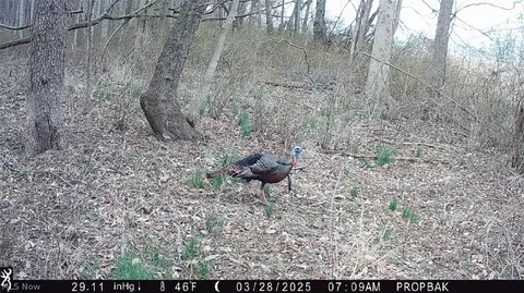 Tr 88, Coshocton, OH 43824 photo 32