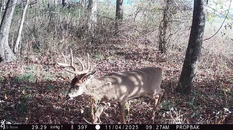 Tr 88, Coshocton, OH 43824 photo 33
