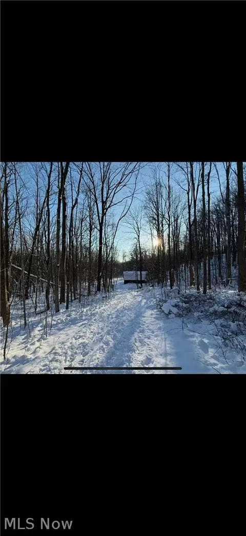 0 Winterberry Ln, Chardon, OH 44024