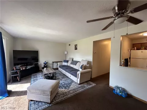 1422 E 264th St, Euclid, OH 44132 photo 20