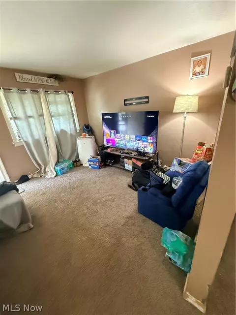 Other - 136 Sheriff St, Elyria, OH 44035 photo 5 of 5
