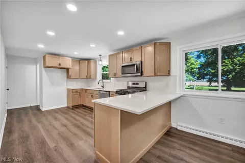 8455 W Ridge Rd, Elyria, OH 44035 photo 5