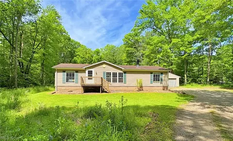 4233 County Line Rd, Diamond, OH 44412