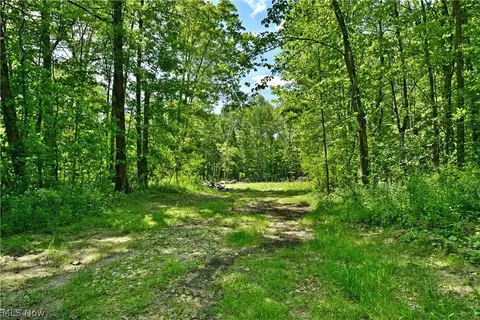 Mahan Denman Road, Bristolville, OH 44402