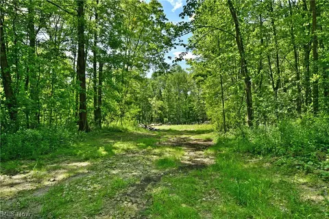 Mahan Denman Road, Bristolville, OH 44402