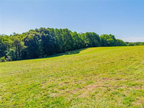 Ridge Rd, Minerva, OH 44657 photo 49