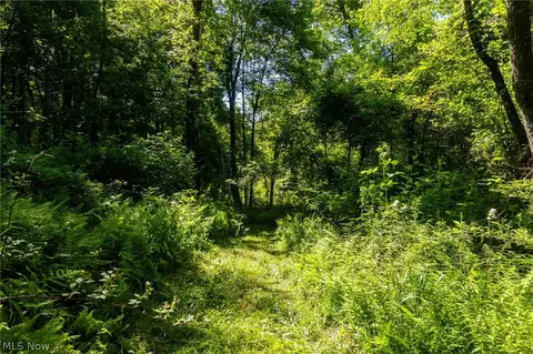 Ridge Rd, Minerva, OH 44657 photo 24
