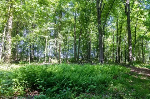Ridge Rd, Minerva, OH 44657 photo 15