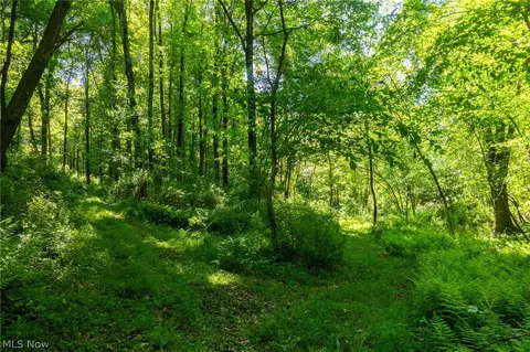 Ridge Rd, Minerva, OH 44657 photo 22
