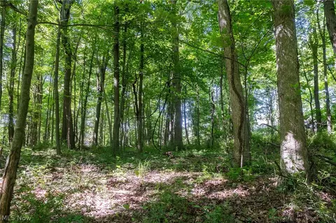 Ridge Rd, Minerva, OH 44657 photo 9
