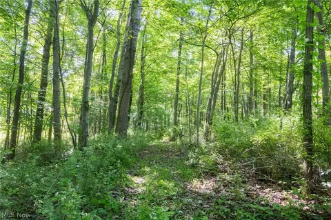 Ridge Rd, Minerva, OH 44657 photo 5