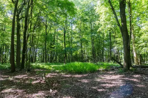 Ridge Rd, Minerva, OH 44657 photo 11