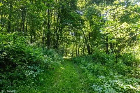 Ridge Rd, Minerva, OH 44657 photo 20